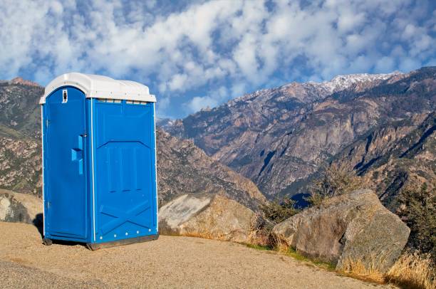 Best Sanitation services for porta potties  in Norris City, IL